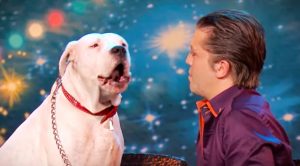 Dog Sings Dolly Parton’s ‘I Will Always Love You’ On ‘Belgium’s Got Talent’ In 2015