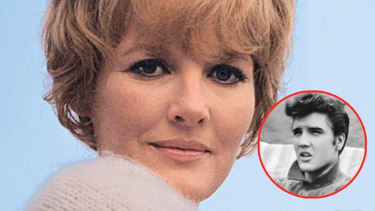 Singer Petula Clark Said Elvis Made Advances Towards Her & She Turned Him Down | Classic Country Music Videos