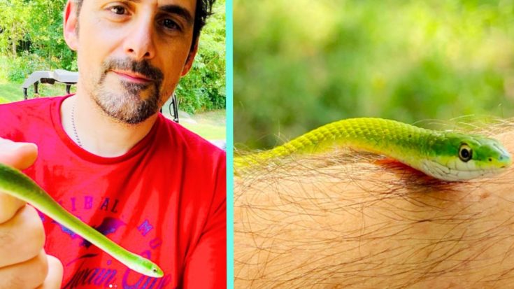 Brad Paisley Catches Snake While Not Wearing Pants | Classic Country Music Videos