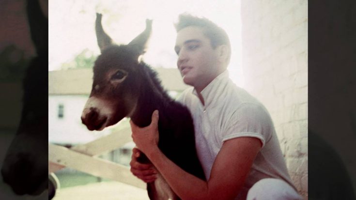 Elvis Presley’s Cousin Says He Kept Donkeys In His Pool | Classic Country Music Videos