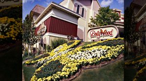 State Officials Consider Turning Dollywood Into Mass Vaccine Site