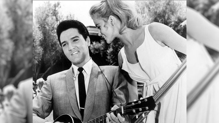 The Time When Elvis & Ann-Margret Were Stranded Without Gas Or Money | Classic Country Music | Legendary Stories and Songs Videos