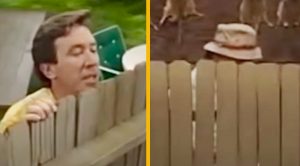 Tim Allen Honors Late “Home Improvement” Co-Star & Shows Fans “Wilson’s Ghost”
