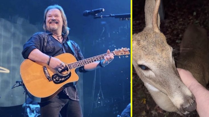 Travis Tritt Walks Up To Wild Deer And Pets It | Classic Country Music Videos