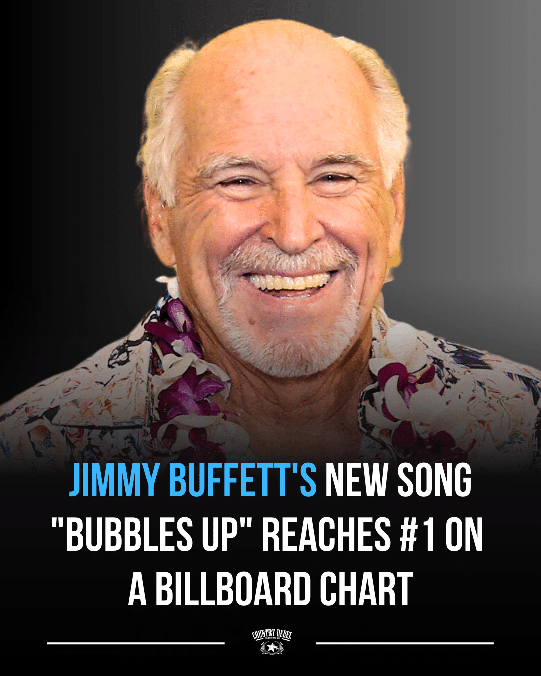 Jimmy Buffett reaches #1 with "Bubbles Up"