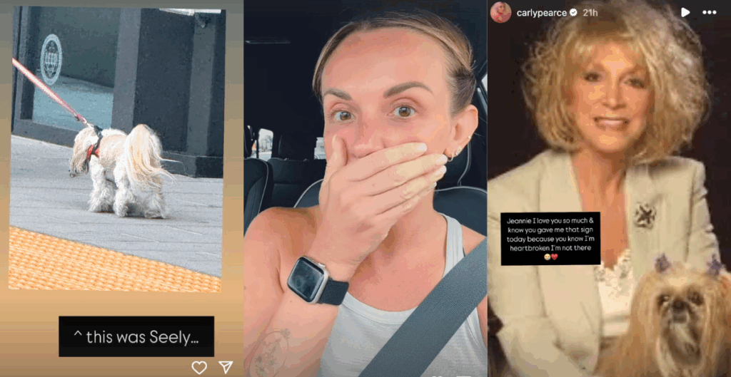 Carly Pearce met a Shih Tzu named Seely on the day of Jeannie Seely's funeral, which she viewed as a sign